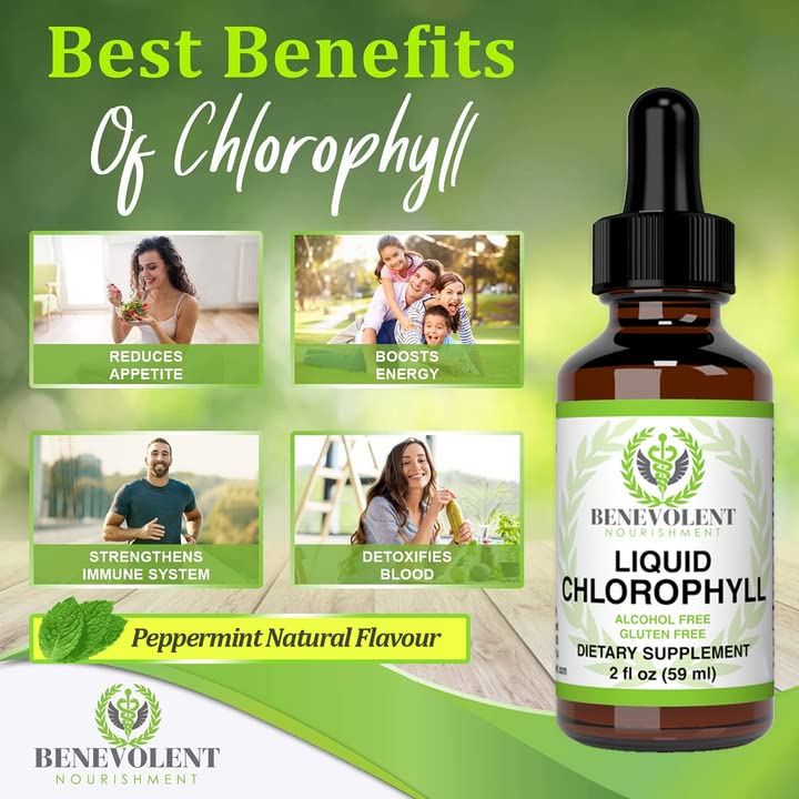 Benevolent Chlorophyll Liquid Drops - 100% Natural + 4X Potency Concentration for Energy Boost, Immune System Support, Internal Deodorant, Altitude Sickness. Not Watered Down. Minty Flavor