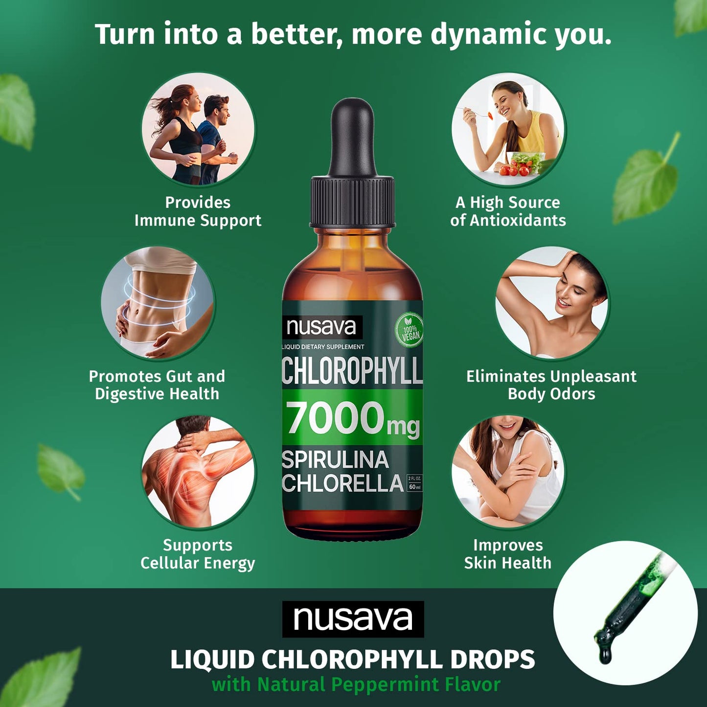 (2 Pack) Vegan Chlorophyll Liquid Drops 7000mg for Immune Support, Energy, Gut & Skin Health, 4-in-1 Liquid Chlorophyll Drops - 100mg, Spirulina, Chlorella, & Copper - Internal Deodorant, 4 Fl Oz