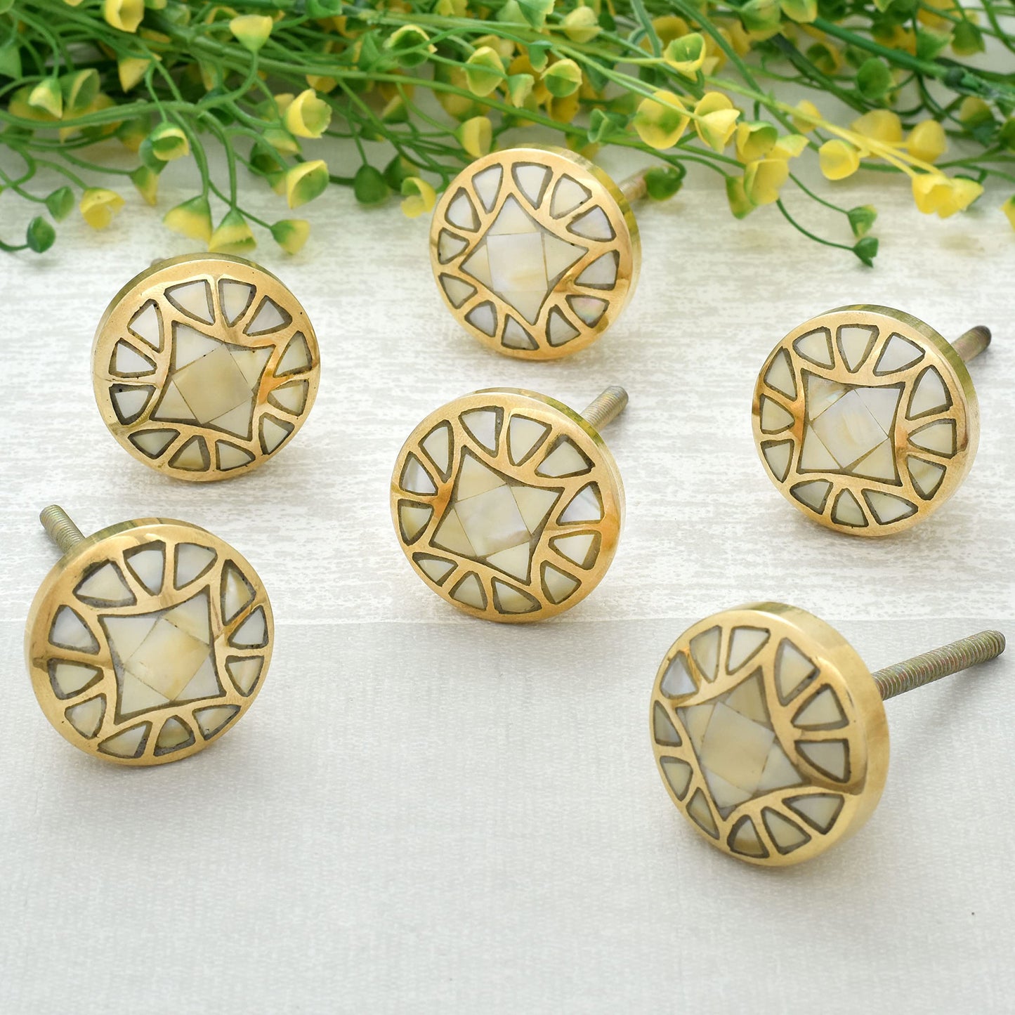 Indian Shelf 6 Pack Natural Mother of Pearl Knobs-Gold Cabinet Knobs-Gold Cabinet Pulls-Gold Dresser Knobs-Gold Drawer Pulls-Gold knobs for Cabinets-Drawer Knobs-Dresser Knobs-Drawer Pulls and Knobs