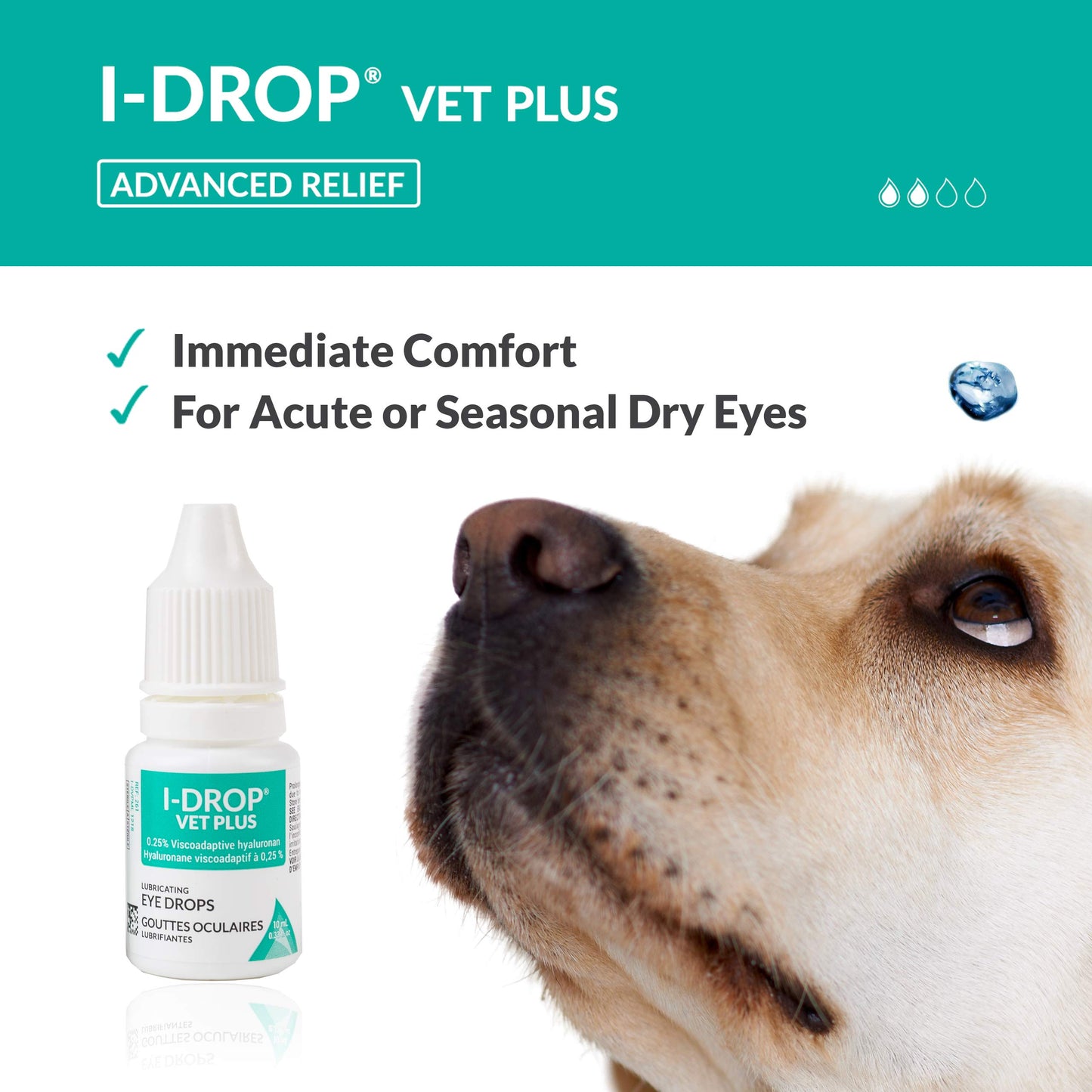 I-DROP VET PLUS: Pet Eye Drops for Dogs | Lubricate Acute/Seasonal Dry Eyes | Superior Comfort | Long-lasting Relief | Fewer Application Needed, 0.25% Hyaluronan | Multi dose Bottle | One Bottle 10 ml